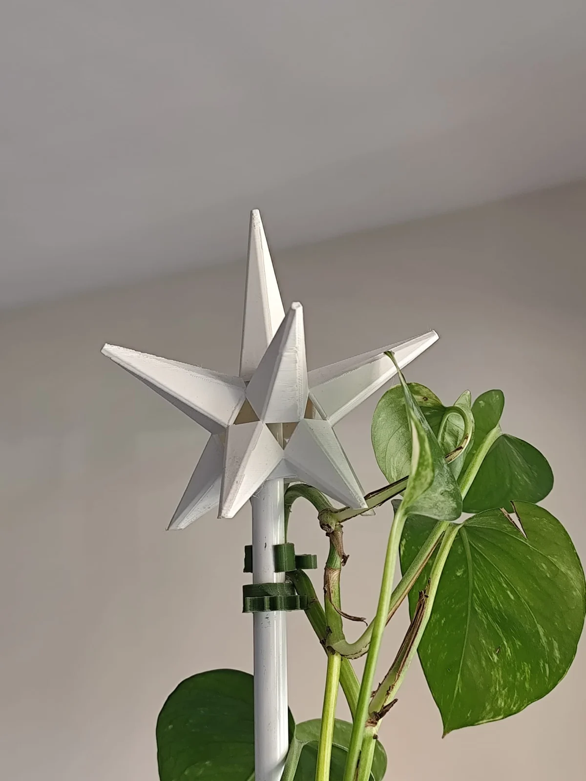 Detalle de la estrella de Navidad impresa, fotografía del diseño de Titun